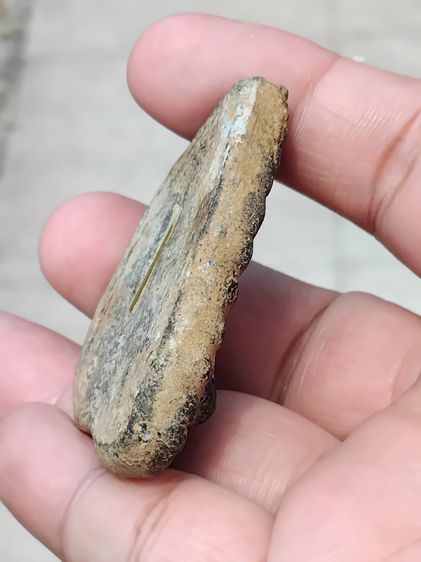 พระนางพญา หลังฝังตกรุด 1 ดอก มีกริ่ง เนื้อดินผสมผง เก่า แท้ แปลก หายาก รูปที่ 4