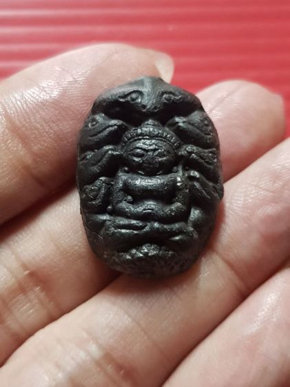 ปรกจั๊กจั่น หายาก รูปที่ 7