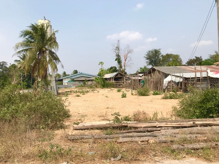 ให้เช่าที่ดินหัวหิน หมู่10 ซอยมัชวงศ์ ใกล้บายพาส รูปที่ 2