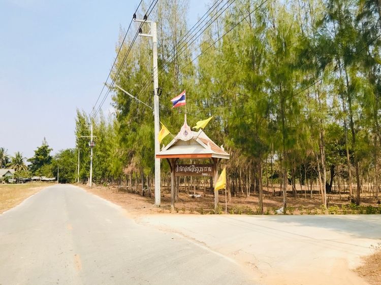 ให้เช่าที่ดินหัวหิน หมู่10 ซอยมัชวงศ์ ใกล้บายพาส รูปที่ 4