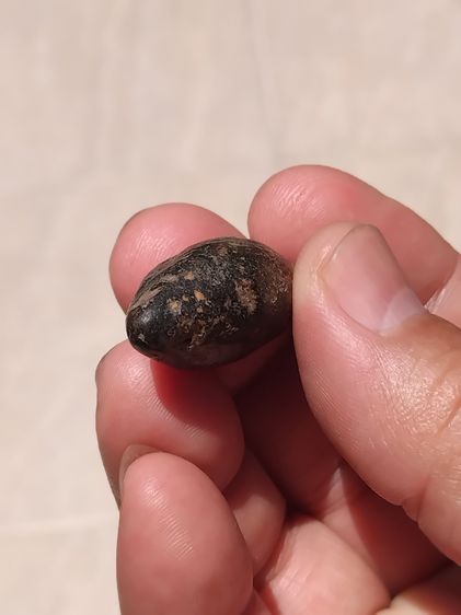 ตะกรุดลูกปืน ฝังตะกรุดทองคำ จารมือ ขนาด 3 cm. เนื้อทองเหลือง ตะกรุดดอกสั้นอ้วน เดิมๆ อย่างสวย สมบูรณ์ เก่า แท้ หายาก ไม่รู้ที่ พุทธคุณครบเคร รูปที่ 5