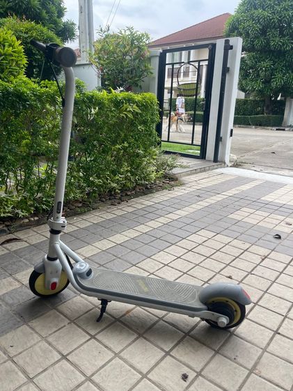 Ninebot eKick Scooter Zing C8