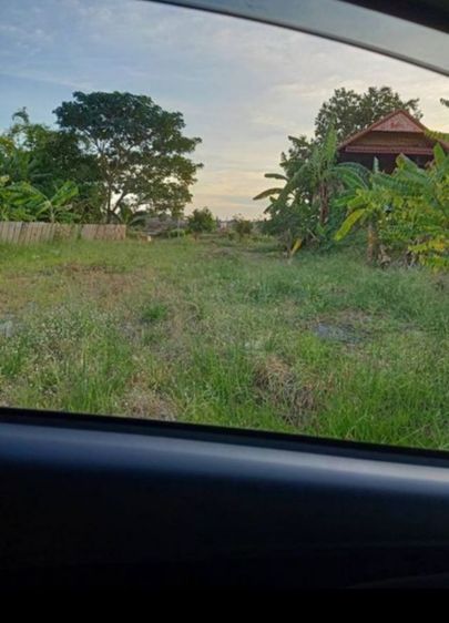 ขายที่ดินลำต้อยติ่ง ติดคลอง รูปที่ 3