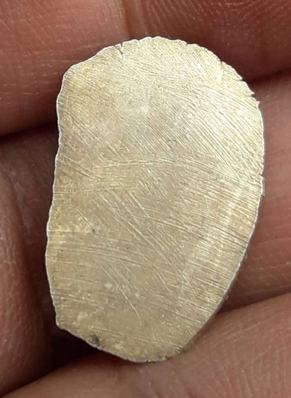 เหรียญพระนาคปรกใบมะขาม รูปที่ 2