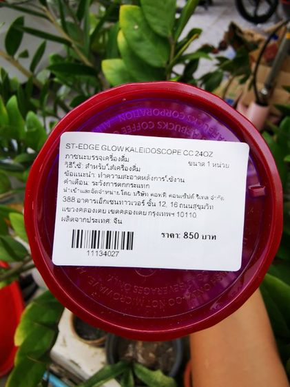 แก้ว​สตาร์บัค​ Starbucks​ สีม่วง​ Vivid​ Violet​ เหลือใบเดียว​ 600​ บาท​  ส่งฟรี รูปที่ 6