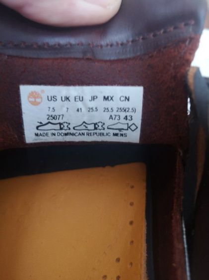 Timberland รูปที่ 11