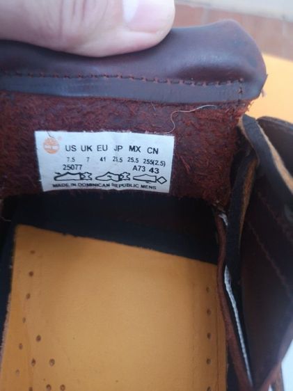 Timberland รูปที่ 12