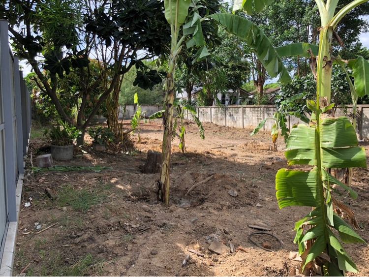 ที่ดิน กาญจนบุรี รูปที่ 3