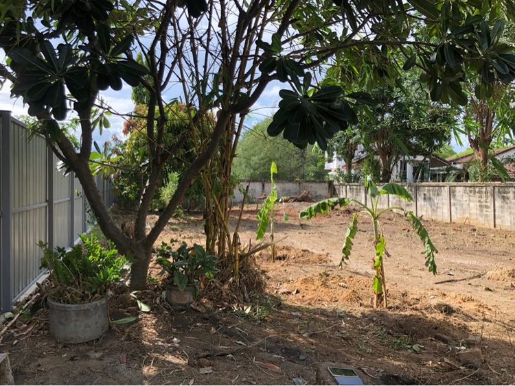 ที่ดิน กาญจนบุรี รูปที่ 2