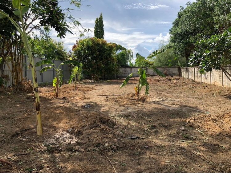 ที่ดิน กาญจนบุรี รูปที่ 4