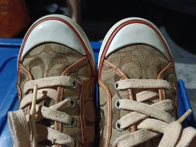 รองเท้าผ้าใบ COACH รูปที่ 10