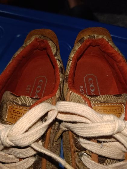 รองเท้าผ้าใบ COACH รูปที่ 8