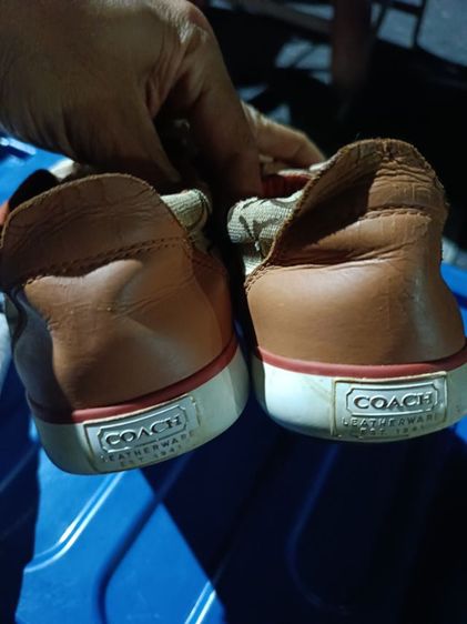 รองเท้าผ้าใบ COACH รูปที่ 6