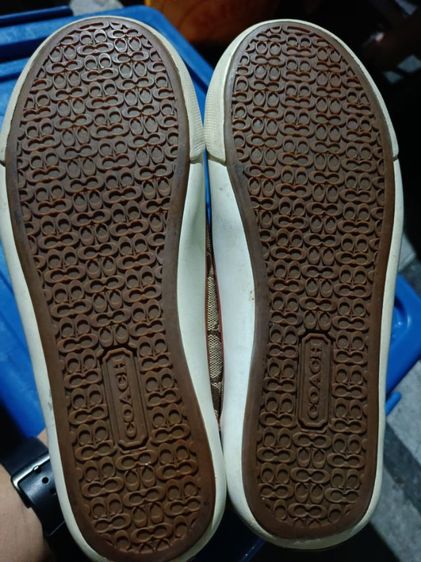 รองเท้าผ้าใบ COACH รูปที่ 4