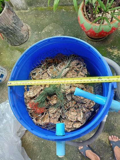 ถังกรองบ่อปลา สูง 46 ซม. กว้าง 33 ซม. รูปที่ 8