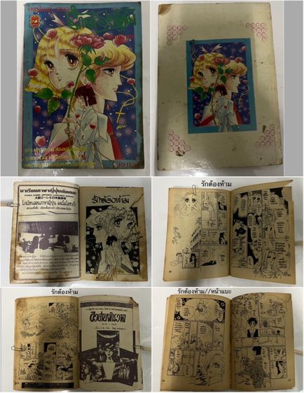 รักต้องห้าม (มิตรไมตรี)