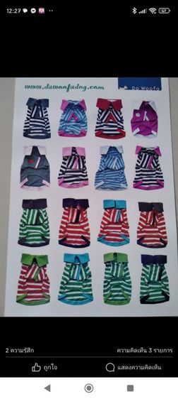 เสื้อผ้าน้องหมา น้องแมว น้องกระต่าย กระรอก รูปที่ 4