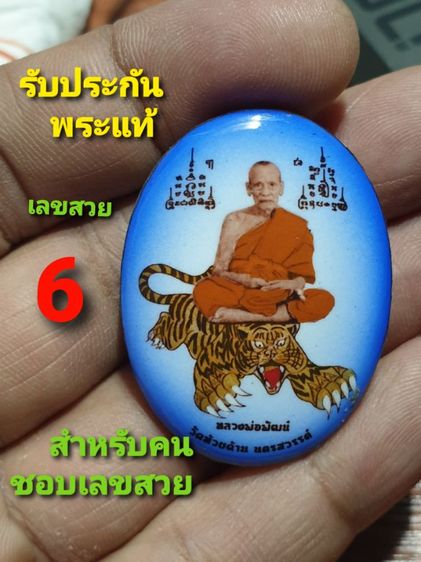 ล็อกเก็ต หลวงพ่อพัฒน์ วัดห้วยด้วน พยัคฆ์มหาอำนาจ บารมี 99 หมายเลข 6 สร้าง 599 องค์