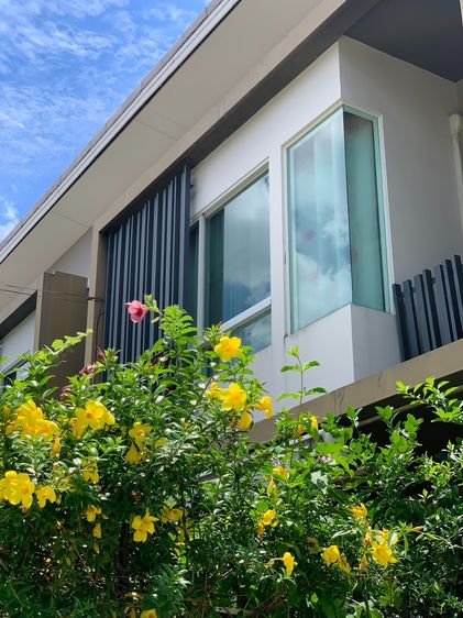 ขายทาวน์เฮ้า 2 ชั้นหลังมุม ติดหน้าสวน อินดี้ศรีนครินทร์ ศรีด่าน 22 (พัฒนาชุมชน6)