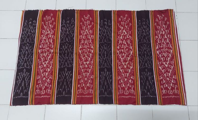 256 ซิ่นตาหมี่ไทดำ, ซิ่นตาหมี่ รูปที่ 2