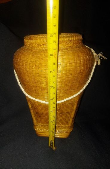 262 กะเหล็บไทดำ, กะเล็บ, กะเล็บไทดำ รูปที่ 4