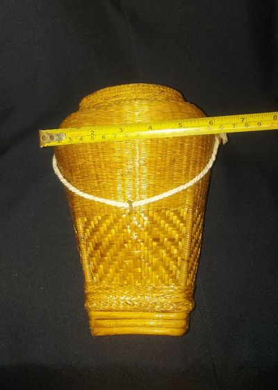 262 กะเหล็บไทดำ, กะเล็บ, กะเล็บไทดำ รูปที่ 5