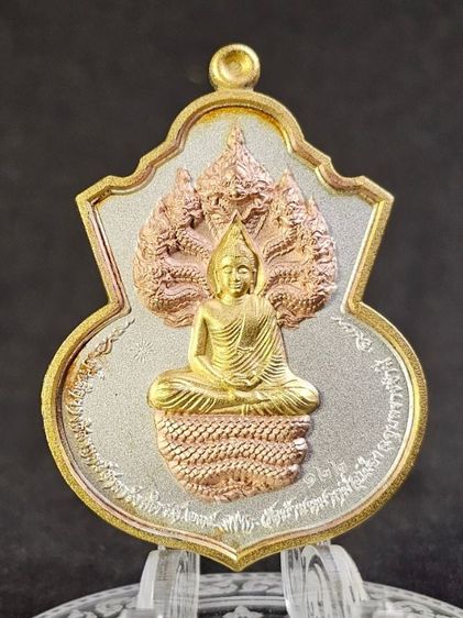 เหรียญพิมพ์นาคปรก พุทธบุญบารมี หลวงปู่บุญ ธมมธีโร วัดบ้านหมากหมี่