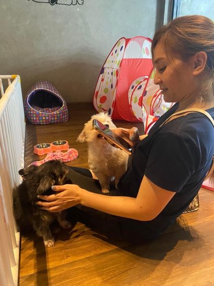 รับฝากเลี้ยงสุนัข รูปที่ 10