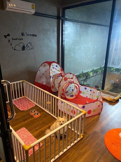 รับฝากเลี้ยงสุนัข รูปที่ 2