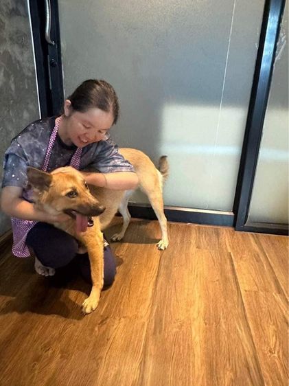 รับฝากเลี้ยงสุนัข รูปที่ 5