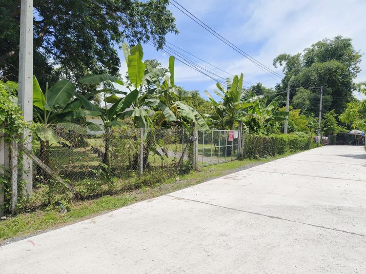 ตกแต่งครบ ขาย เช่า บ้านสวน2หลัง เนื้อที่1ไร่3งาน22ตร.ว อยู่สันกำแพง เชียงใหม่ น้ำไม่ท่วม ใกล้ถนนคนเดิน รูปที่ 4