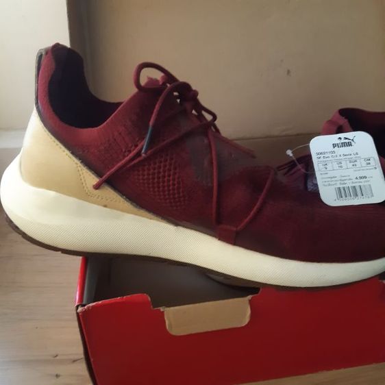 SF EVO CAT II SOCK LS