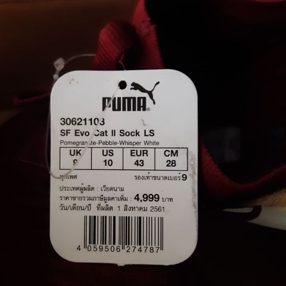 SF EVO CAT II SOCK LS รูปที่ 3