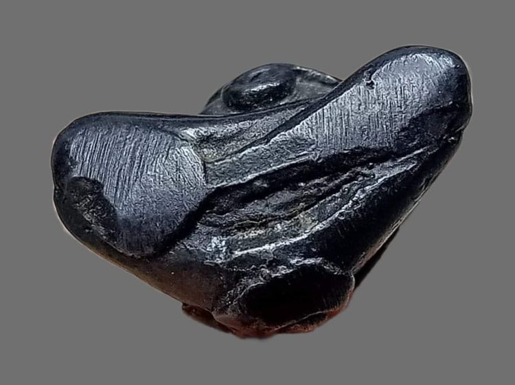 พระปิดตาหลวงพ่อทาเนื้อเมฆพัตร รูปที่ 5