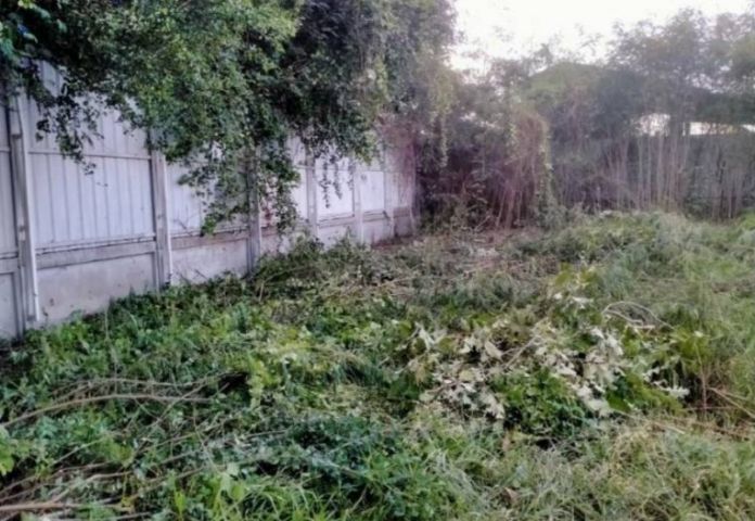 ขายที่ดินติดถนนใหญ่มิตรภาพ รูปที่ 3