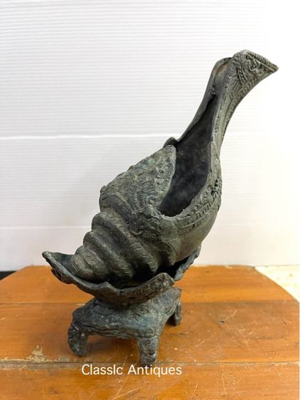 หอยสังข์ ทองเหลืองสะสม