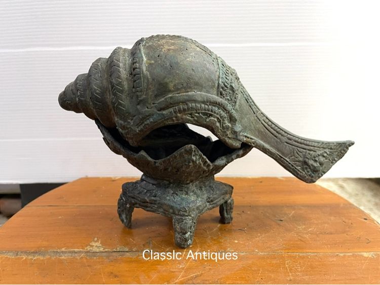 หอยสังข์ ทองเหลืองสะสม รูปที่ 12