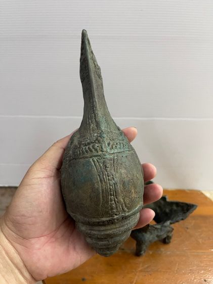 หอยสังข์ ทองเหลืองสะสม รูปที่ 7