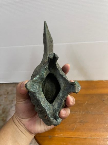 หอยสังข์ ทองเหลืองสะสม รูปที่ 8