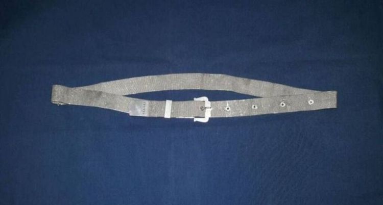 198เข็มขัดเงินเซี่ยงไฮ้, เข็มขัดเซี่ยงไฮ้ รูปที่ 2