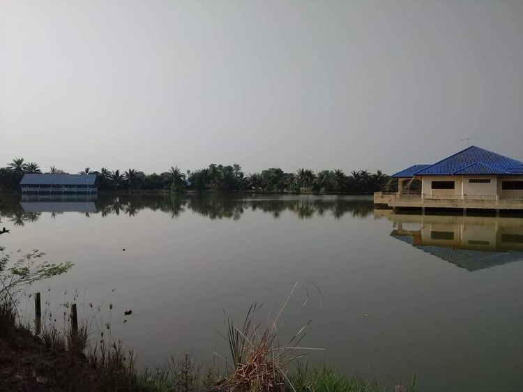 ขายที่ดินมีโฉนดพร้อมบ้านพัก ขายยกแปลง ต.ห้วยด้วน อ.ดอนตูม จ.นครปฐม รูปที่ 2