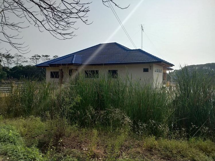 ขายที่ดินมีโฉนดพร้อมบ้านพัก ขายยกแปลง ต.ห้วยด้วน อ.ดอนตูม จ.นครปฐม รูปที่ 4