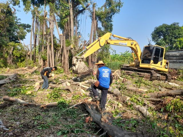 ช่างรับตัดต้นไม้ใกล้ฉัน 0967328881 รูปที่ 12