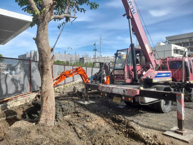 ช่างรับตัดต้นไม้ใกล้ฉัน 0967328881 รูปที่ 5