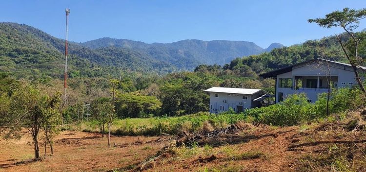 ไม่ใช่ ขายที่ดินเขาใหญ่ ทำเลดี ติดถนนสาธารณะ บ้านซับใต้ ต.พญาเย็น อ.ปากช่อง จ.นครราชสีมา รูปที่ 3