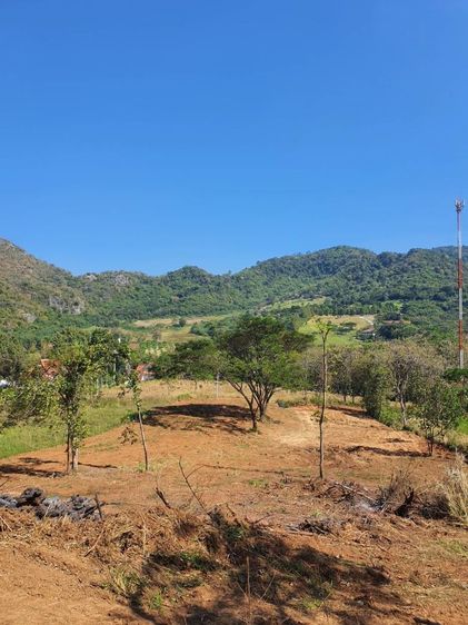 ไม่ใช่ ขายที่ดินเขาใหญ่ ทำเลดี ติดถนนสาธารณะ บ้านซับใต้ ต.พญาเย็น อ.ปากช่อง จ.นครราชสีมา รูปที่ 2