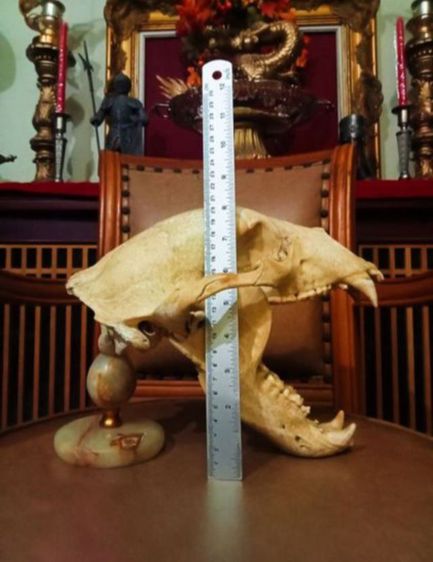 แท้เก่าโบราณครบชุดขนาดใหญ่สภาพเยี่ยมโชว์ได้เลย รูปที่ 13