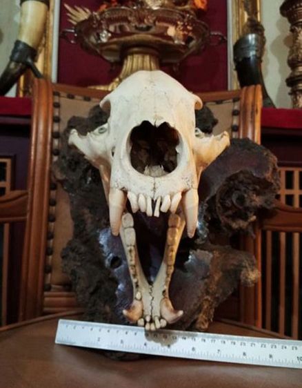 แท้เก่าโบราณครบชุดขนาดใหญ่สภาพเยี่ยมโชว์ได้เลย รูปที่ 14