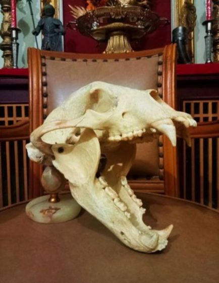 แท้เก่าโบราณครบชุดขนาดใหญ่สภาพเยี่ยมโชว์ได้เลย รูปที่ 15