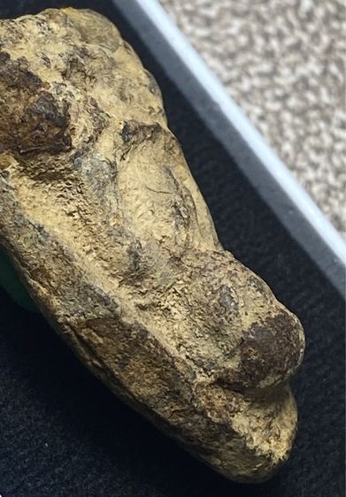 หลวงปู่ทวดปี 2497 พิมพ์ใหญ่หัวขีด ไหลจุดหรือพิมพ์ใหญ่ A เนื้อนิยม  สวยมากหน้าตาคมชัด สภาพเดิม ๆ         P 707 รูปที่ 9